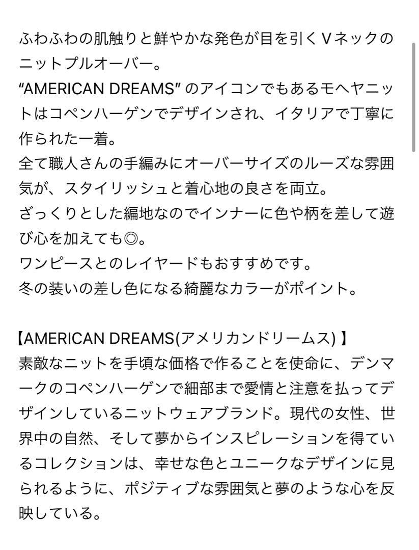 新品 未使用 NOBLE購入 AMERICAN DREAMS Vネックニット 画像6