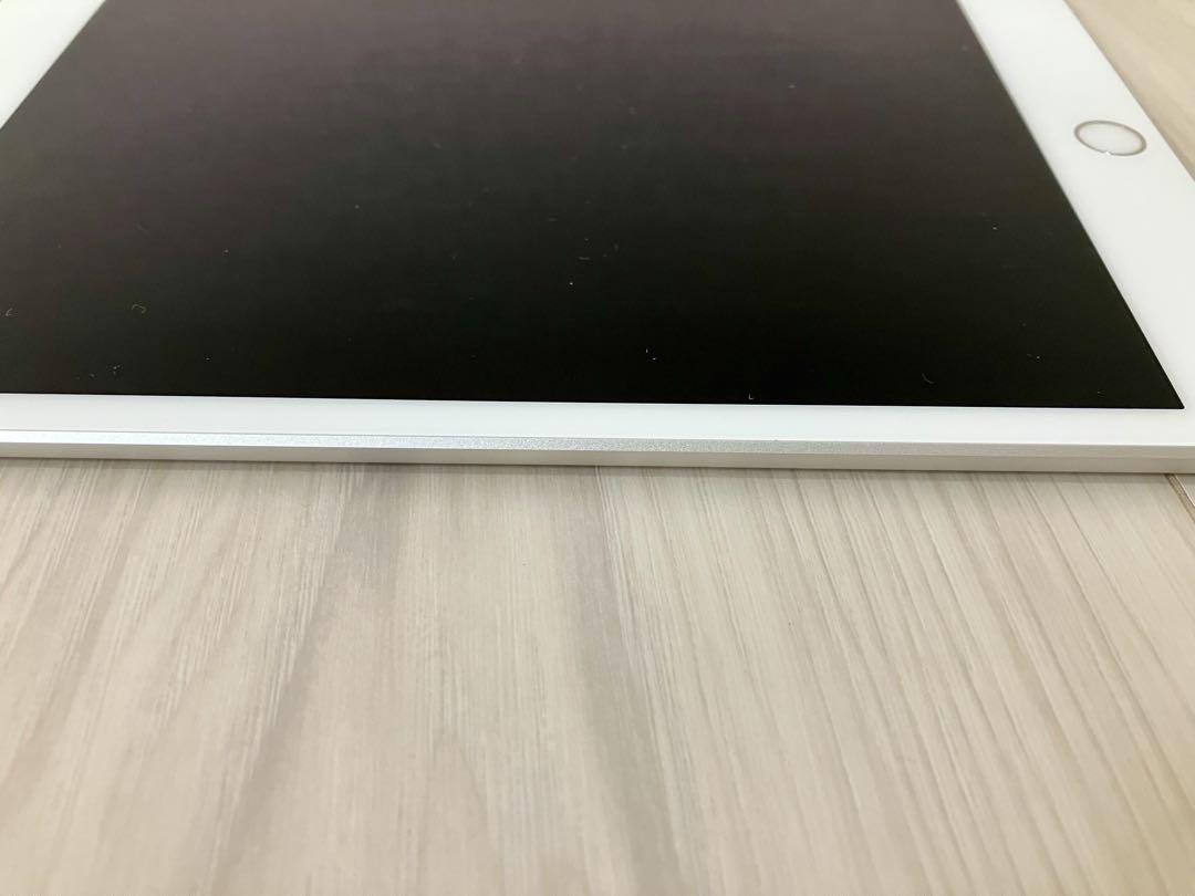 液晶不良ジャンク品 iPad mini 第5世代 Wi-Fi シルバー 64GB 液晶不良ジャンク品 iPad mini 第5世代 Wi-Fi シルバー 64GB
