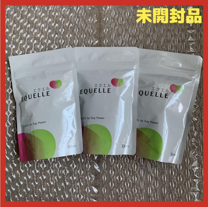 【未開封】エクエル パウチ 120粒 3個セット 正規品