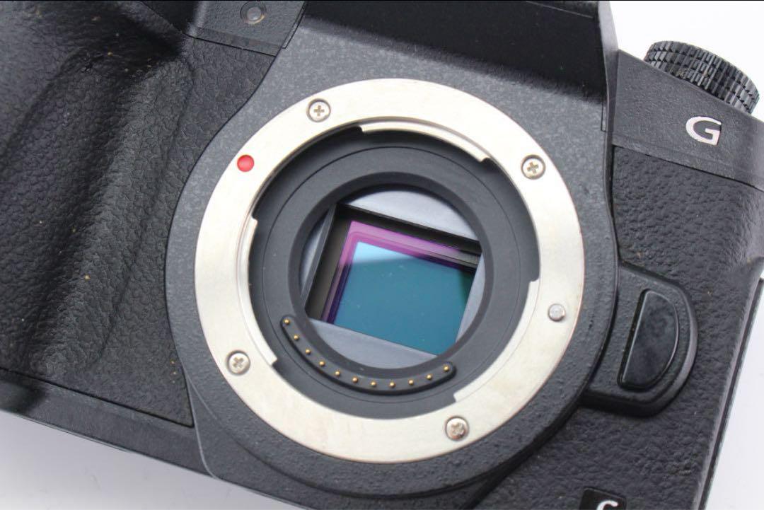 美品！Panasonic Lumix DMC-G8 レンズセット