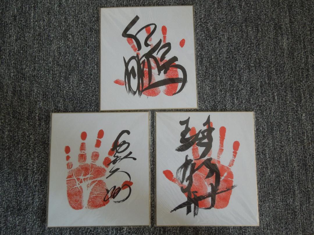 大相撲 力士手形・サイン色紙 白鵬 / 千代大海 / 琴欧州 3 枚