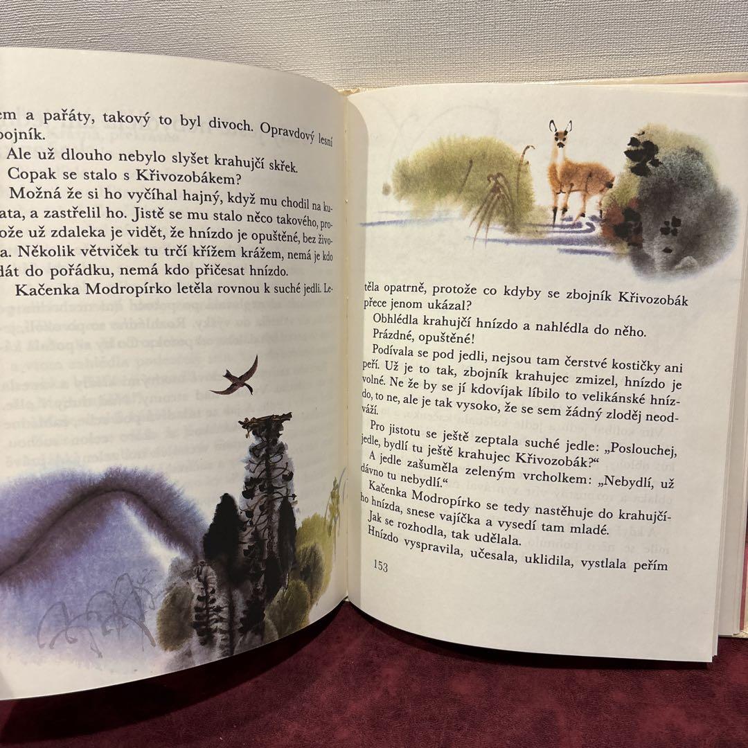 ❤️セール78②チェコビンテージ絵本 洋書古書 ボタンニカル