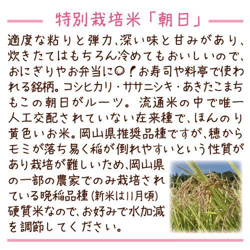 ★gon様★専用【特別栽培米 朝日】10kg