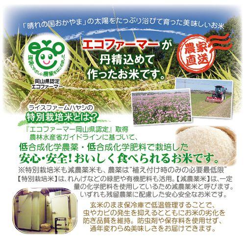 ★gon様★専用【特別栽培米 朝日】10kg