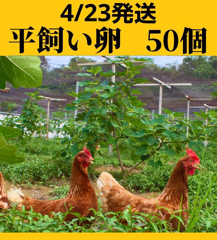 平飼い飛鳥の卵 80個／ 卵 たまご 玉子 生卵 鶏卵 生たまご