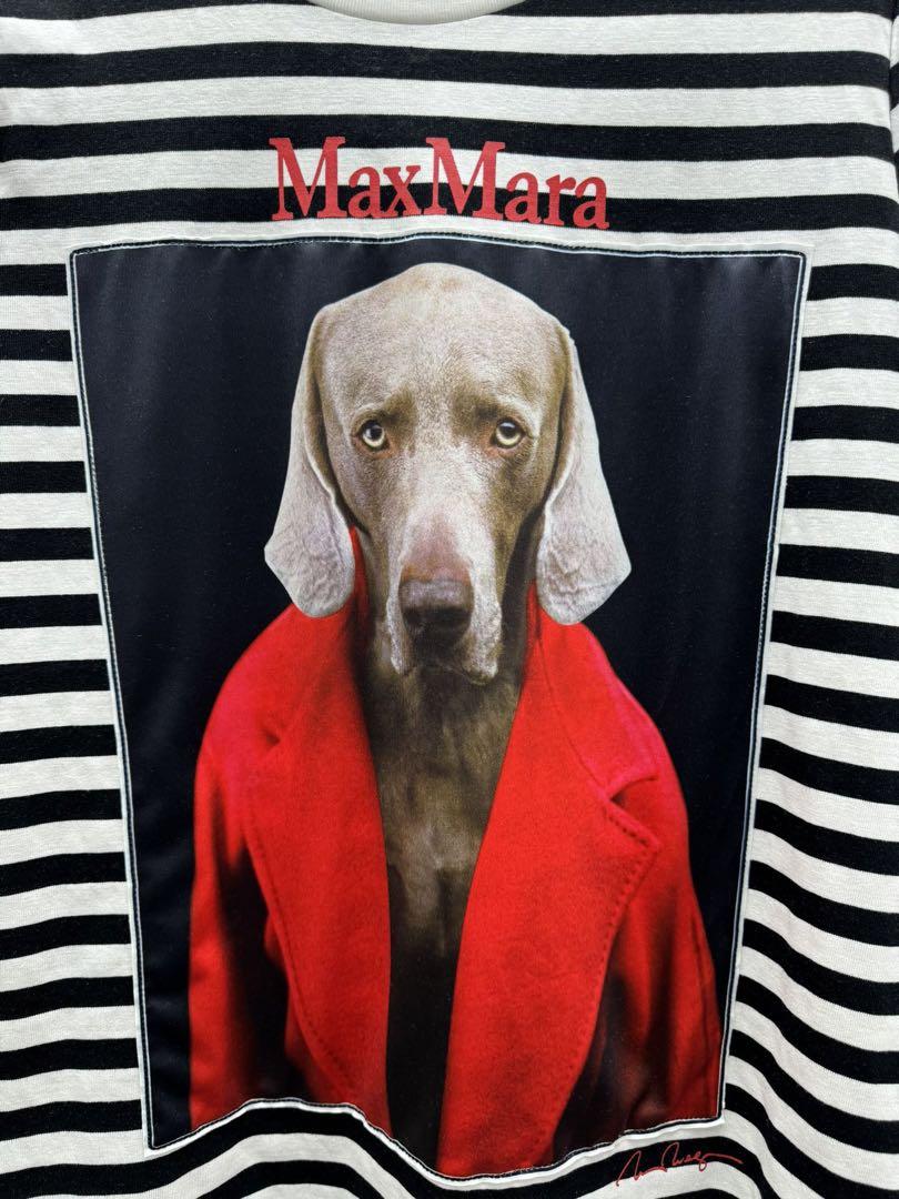新品タグ付【MAX MARA】ロッソピュアコットン ジャージー TシャツXS