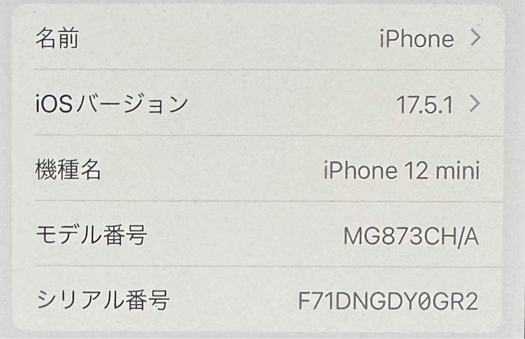 iPhone12 mini 128GB ブルー 画像10