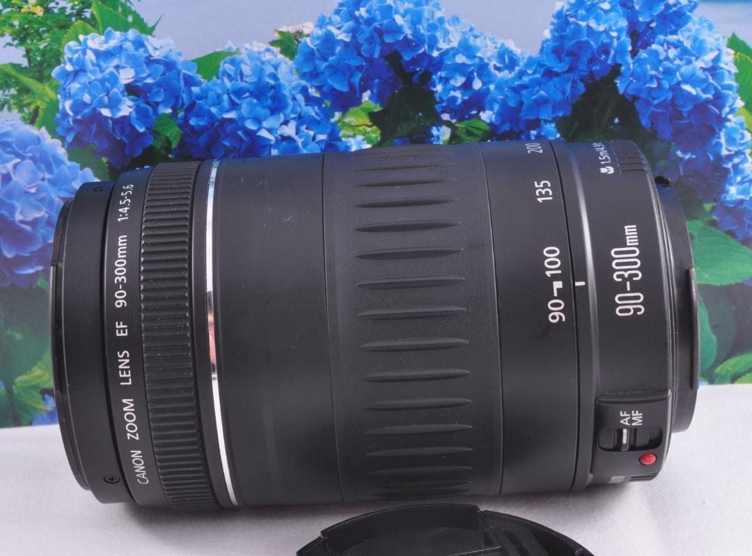 望遠はここから！Canon　EF90-300mm F4.5-5.6 キヤノン３