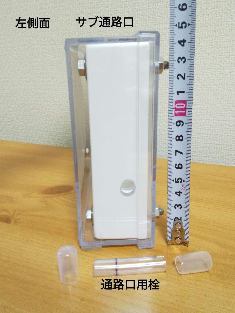 アリ飼育ケース　石膏巣　アリの巣観察