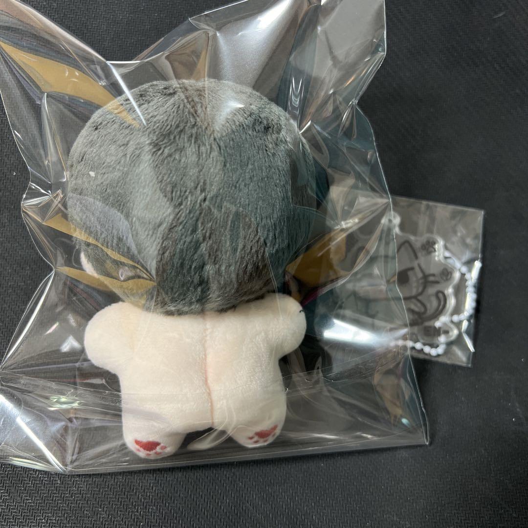 enhpen ジェイ　10cm ぬいぐるみ　新品　マスター enhypen ジェイ ぬいぐるみ 10cm 新品 マスター - メルカリ