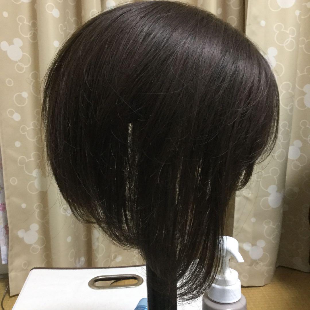 好評高品質 だつ様専用 ウィッグ✩.*˚レディースアデランス✩.*˚ 1aEO5-m93159855169 格安低価