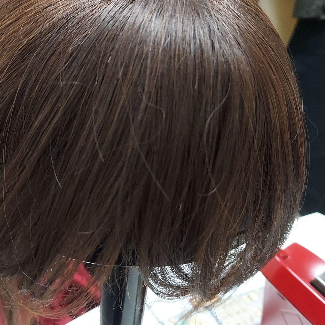 好評高品質 だつ様専用 ウィッグ✩.*˚レディースアデランス✩.*˚ 1aEO5-m93159855169 格安低価