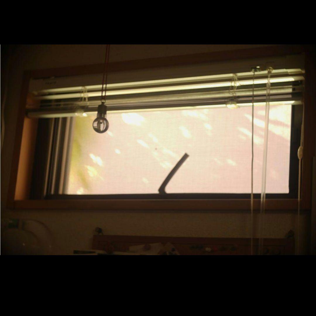 50/3.5 VELOSTIGMAT Cマウント - メルカリ