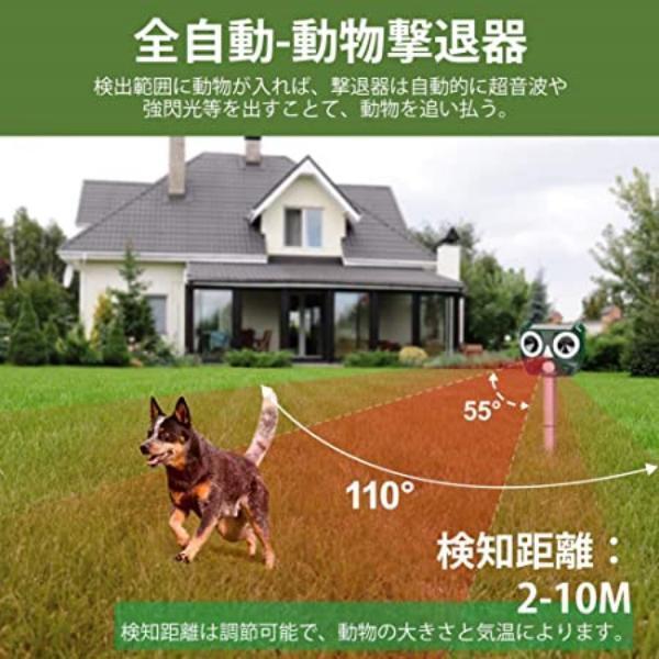 猫よけ5個セット
