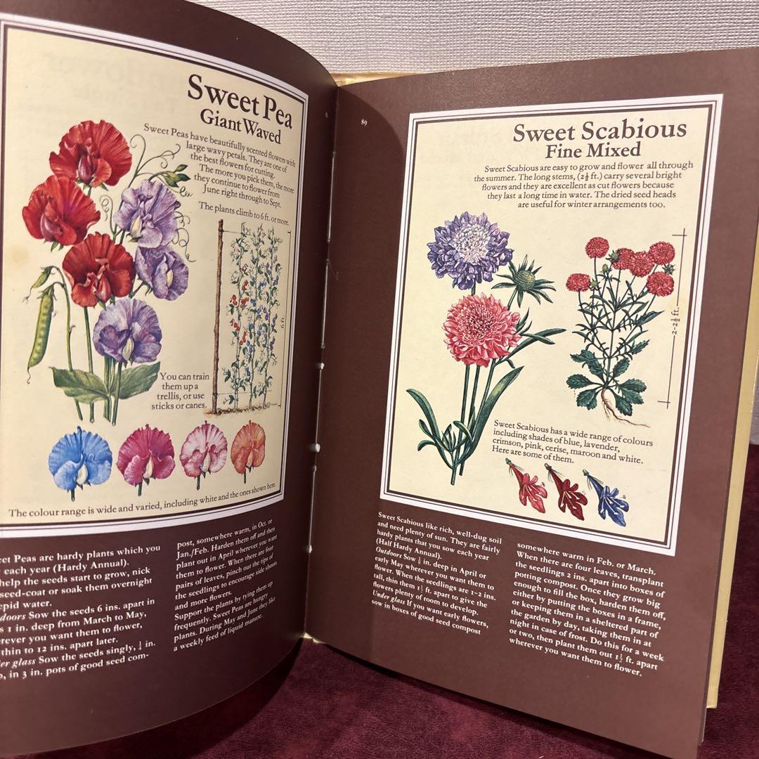 洋書　古書　植物図鑑2点 WILD FLOWERS 植物図鑑 洋書 古書の通販 by sata's shop｜ラクマ
