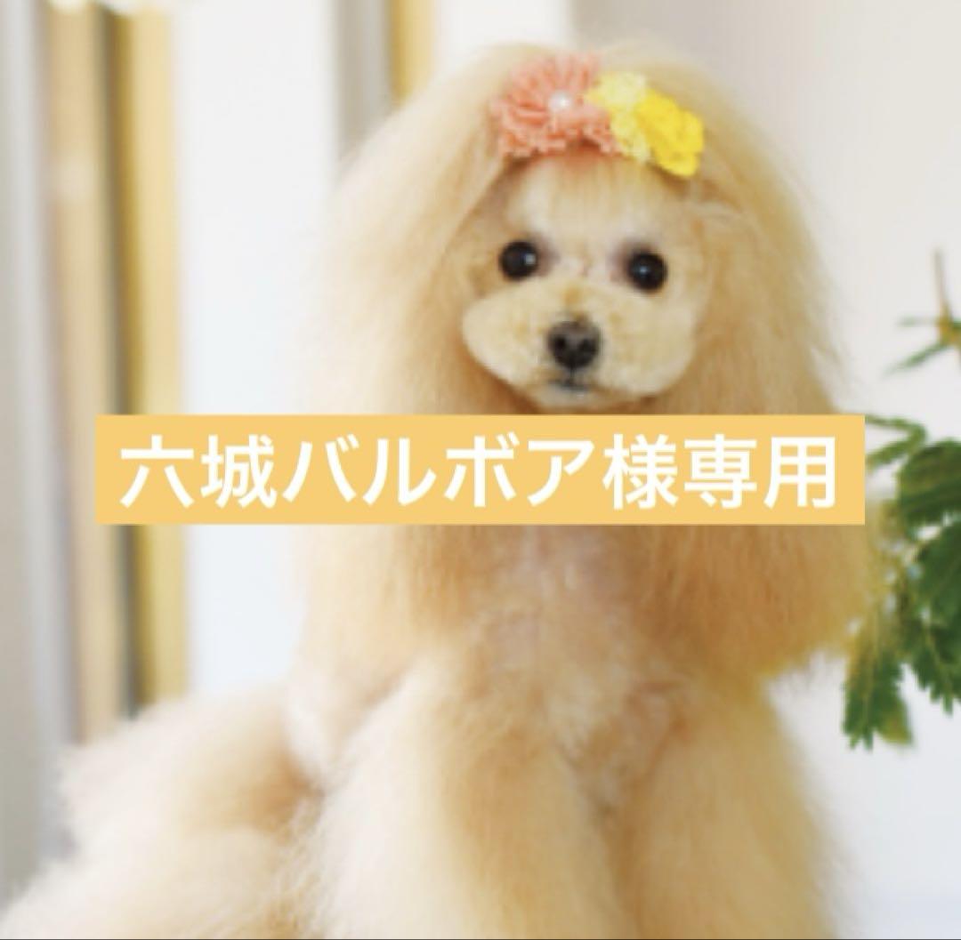 六城バルボア商品☘️訳あり商品