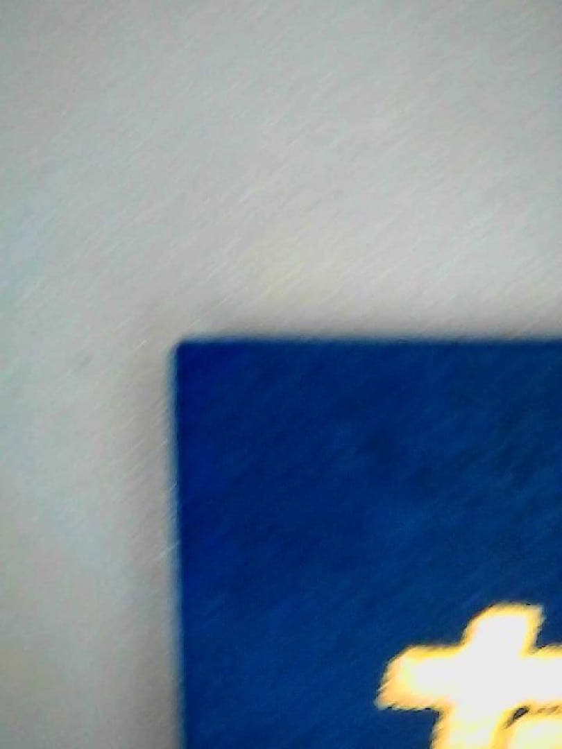 kyle schwarber カイルシュワバー 直筆サイン auto 20シリ UP786_INFO