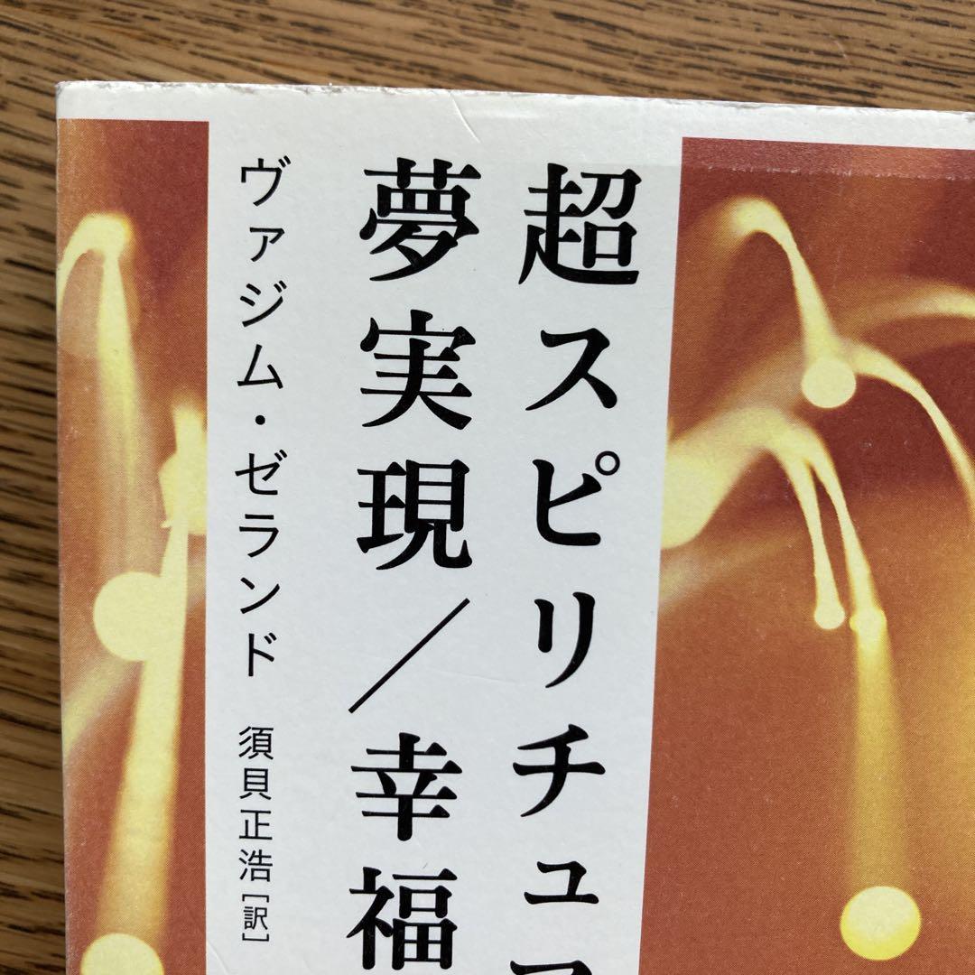 超スピリチュアルな夢実現/幸福獲得法 : 振り子の法則トランサーフィン