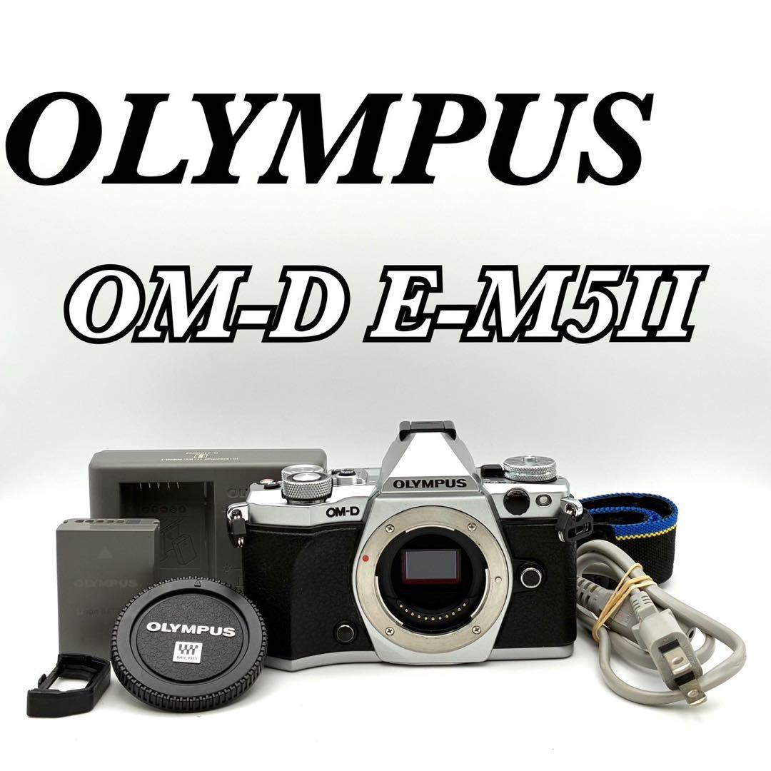 【完動 シャッター5361回】オリンパス OM-D E-M5 MarkⅡ 美品