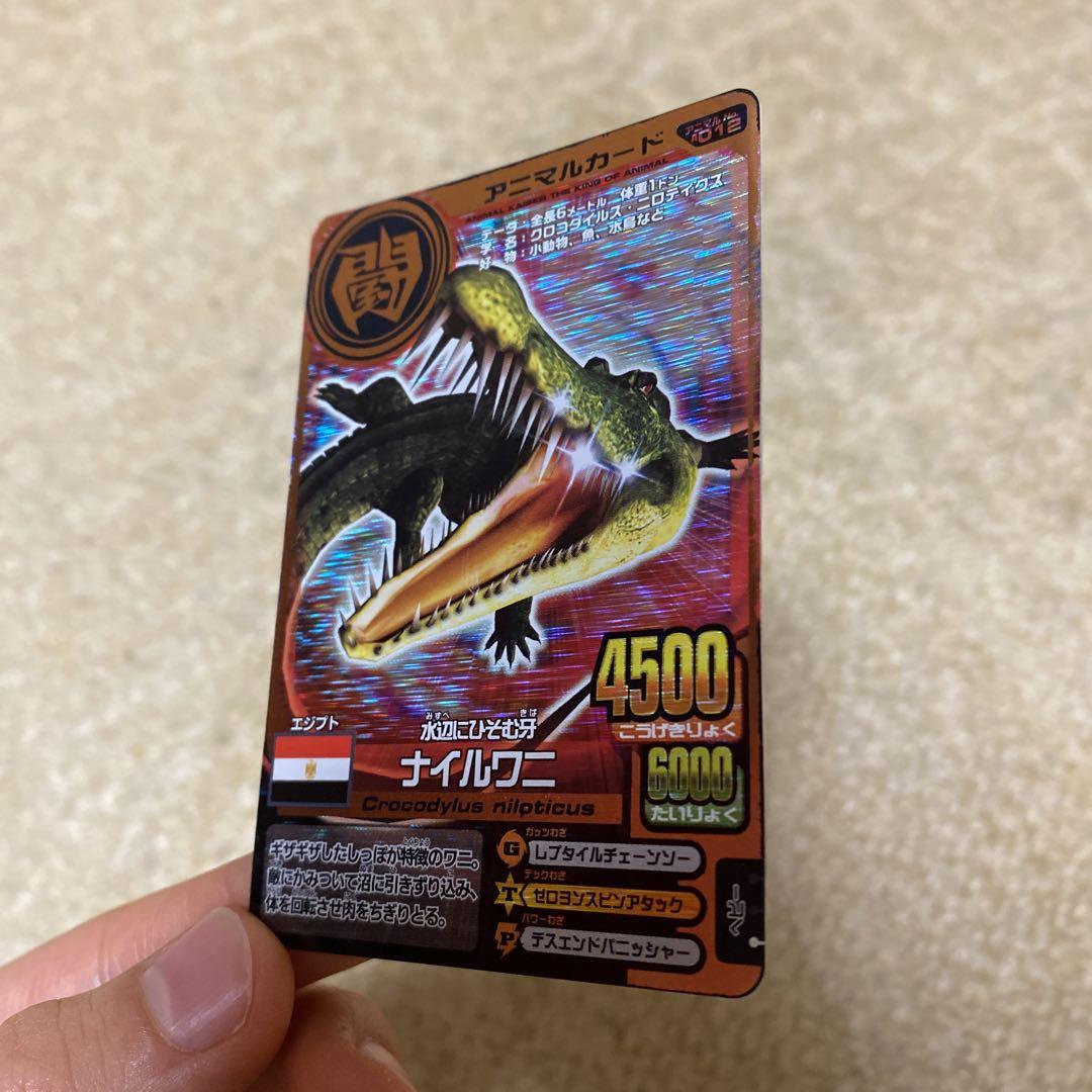 百獣大戦アニマルカイザー カード まとめ売りの通販 by セカンド