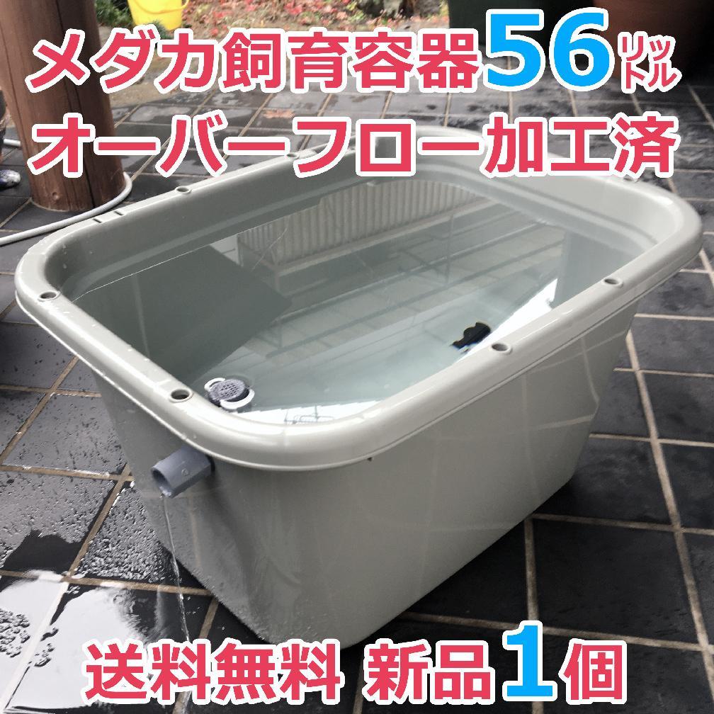かわいい! ビオトープ 日除けセット 40タライ オーバーフロー メダカ