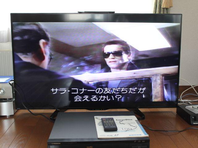 ターミネーター　レーザーディスクソフト　２枚