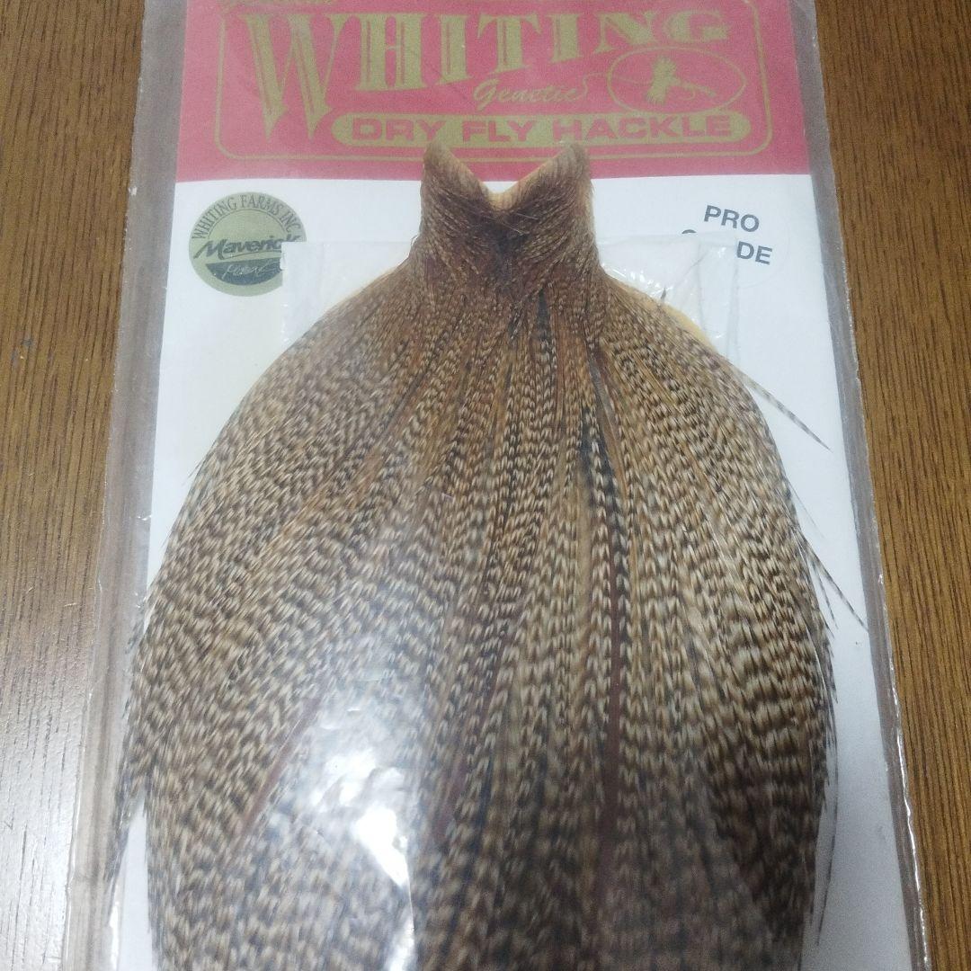 ホワイティング　プログレード