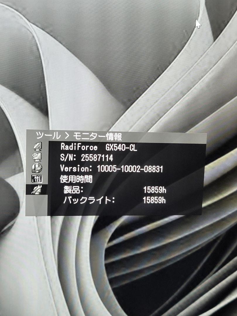 EIZO RadiForce GX540 21.3インチ医療用モノクロモニター
