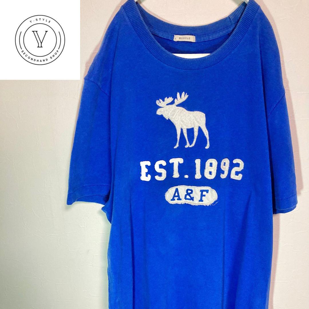アバクロ ヴィンテージ Tシャツ シングルステッチ 90s ブルー L