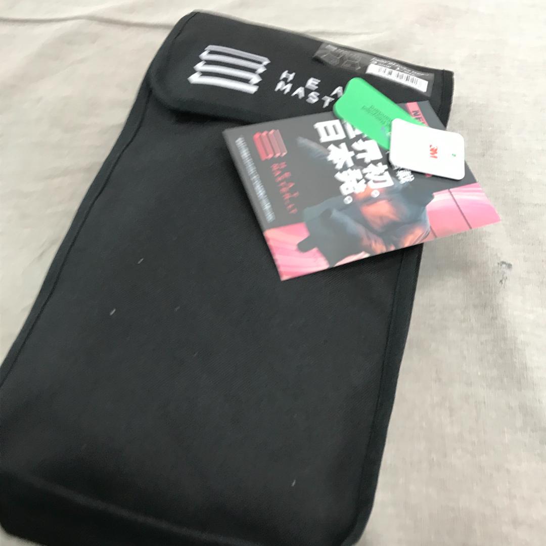 ヒートマスター （電熱） LT 12V ヒートグローブ type-1 　L