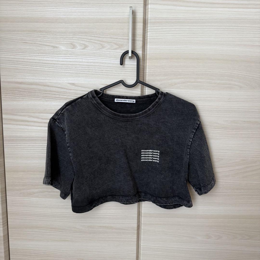 alexanderwang アシッドウォッシュジャージー クロップtシャツ
