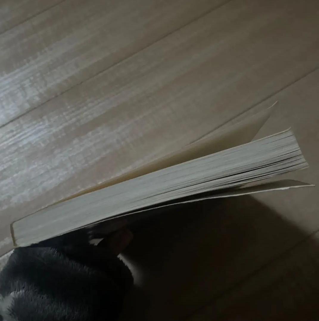 LV LH 探る人類学的研究 GK XU