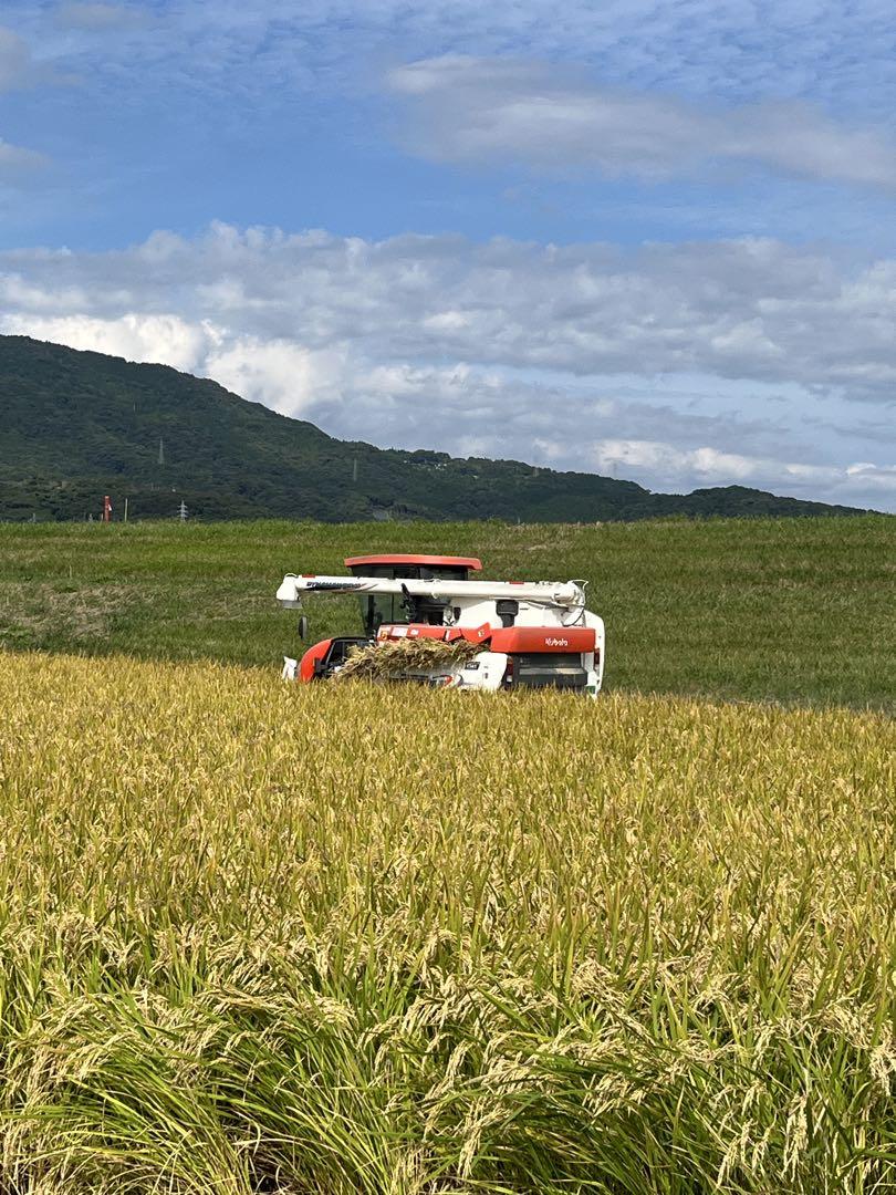 さがびより 令和6年産 佐賀県産米　玄米30kg