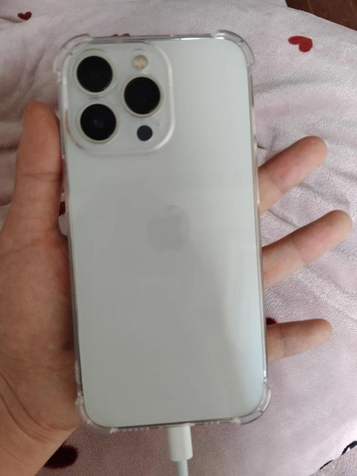 本体