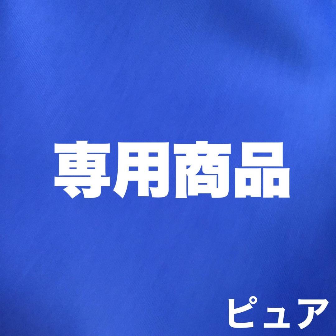 【アリス様専用】昆虫ゼリー セット クワガタ・カブトムシ・ハムスター