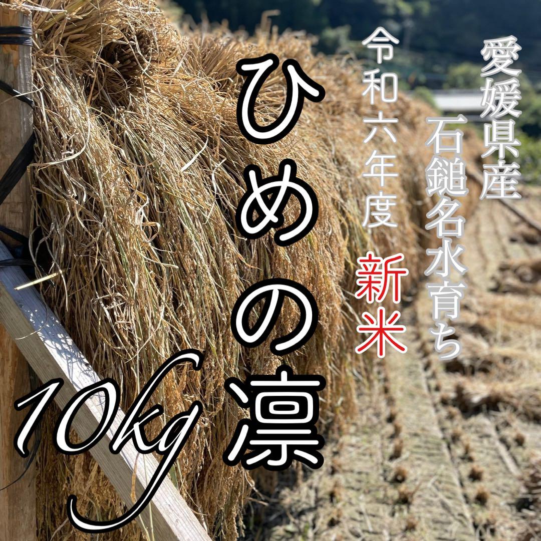 農薬化学肥料除草剤不使用 R6年度米愛媛県産ひめの凛 農薬化学肥料除草剤不使用 R6年度米愛媛県産ひめの凛