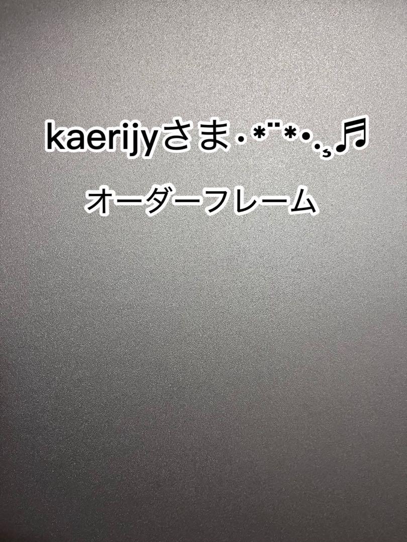☆ kaerijy さま オーダーページ☆ナンバーフレーム2枚 2セット
