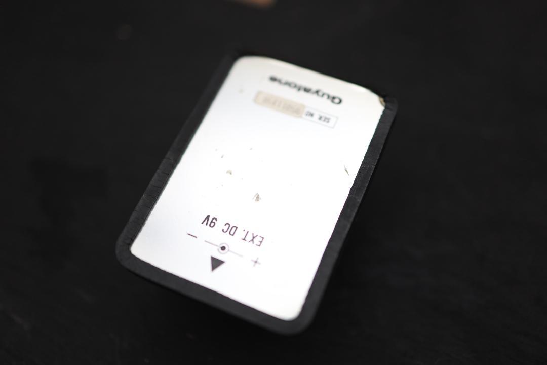 ギター GUYATONE SWR2