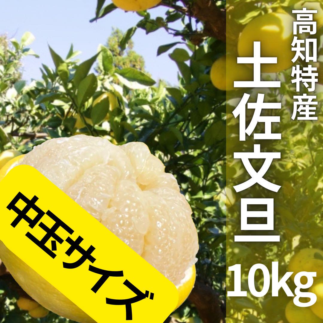 適切な価格 9.愛知県産 デコポン（不知火）約10kg 家庭用 果物