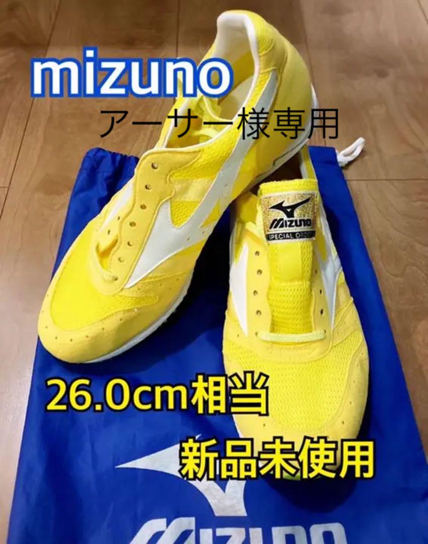 ミズノ 別注長距離用シューズ Mizuno 新品未使用 スペシャル