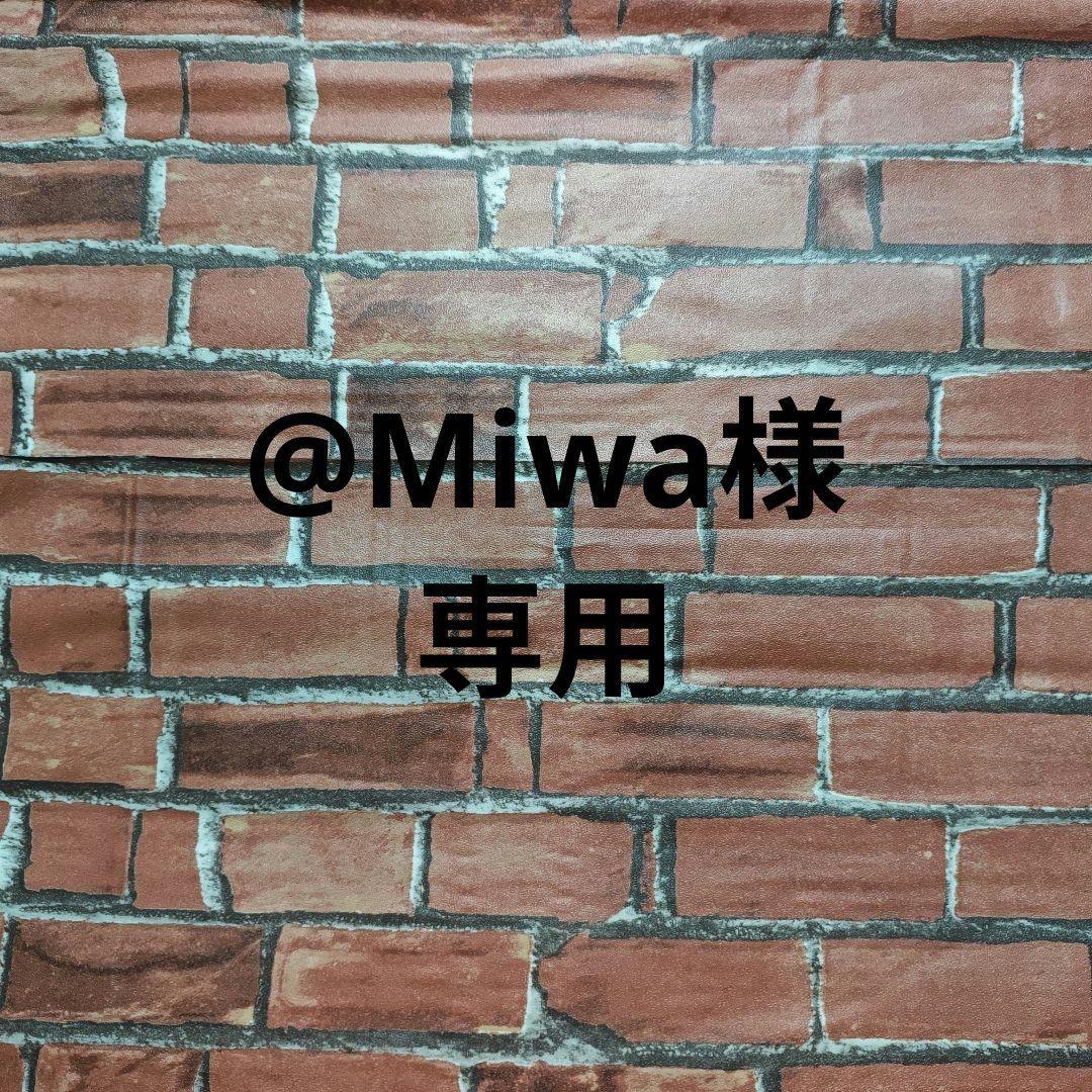 @Miwa様オーダーページ　スケボー柄　体操着袋　上履き袋　ハンドメイド