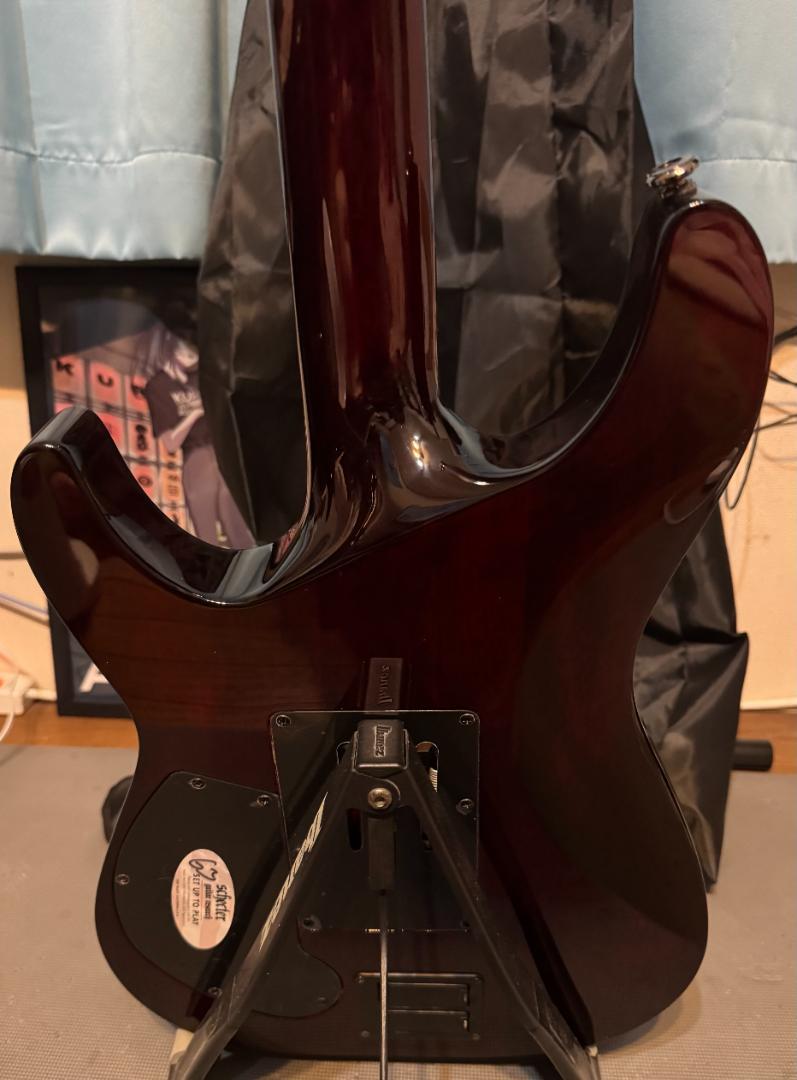SCHECTER HELLRAISER ヘルレイザー C-1 FR S BCH