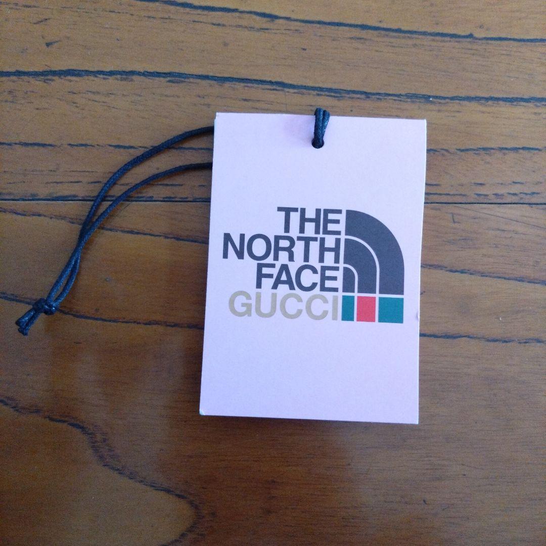 THE NORTH FACE×GUCCI 21AW Tシャツ