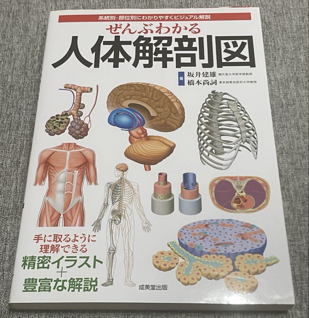 【バラ売り各450円】【即購入可】薬学部教材セット