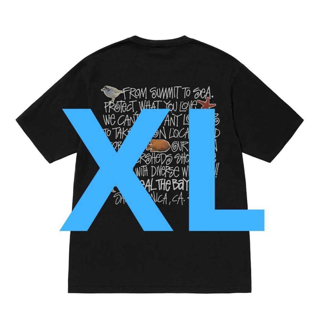 XL 24SS Stussy heal the bay 画像1