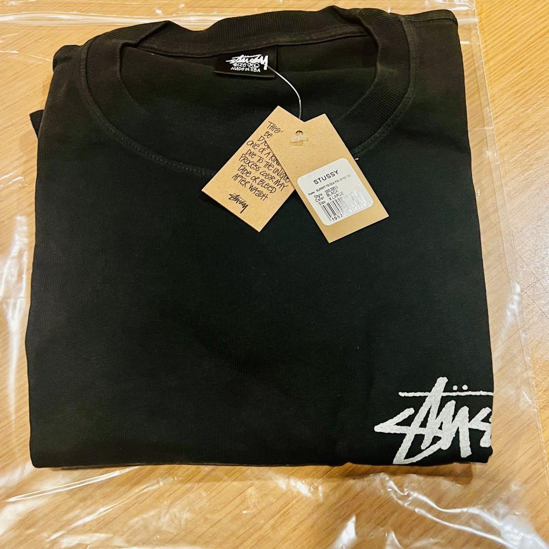 XL 24SS Stussy heal the bay 画像3