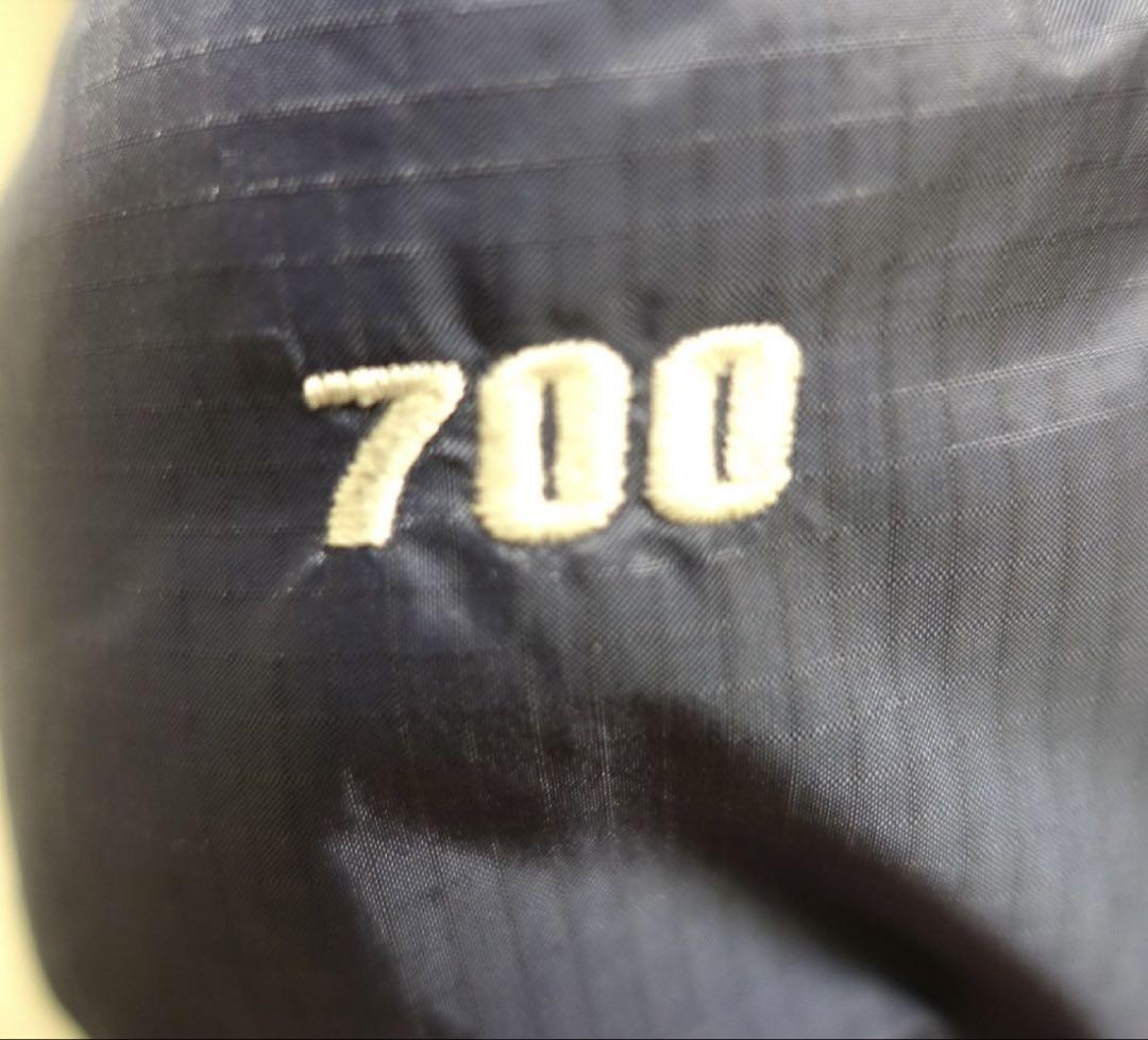 THE NORTH FACE ダウンジャケット 700FP