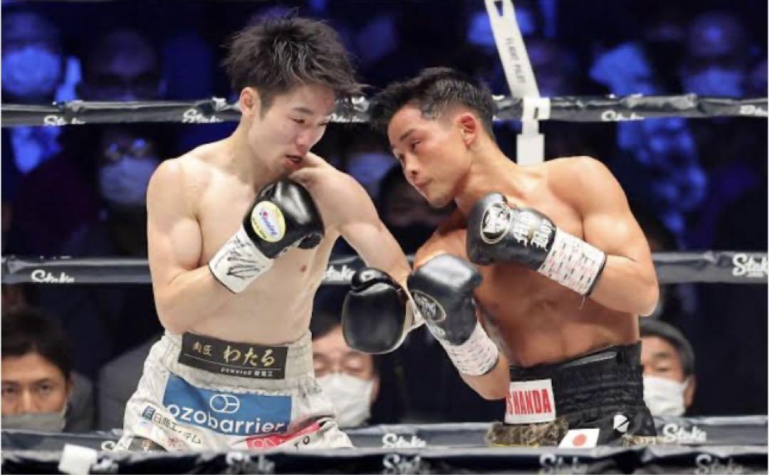 no boxing no life ボクシンググローブ 8オンス 京口モデル 武道 no boxing no life ボクシンググローブ 8オンス 京口モデル 武道