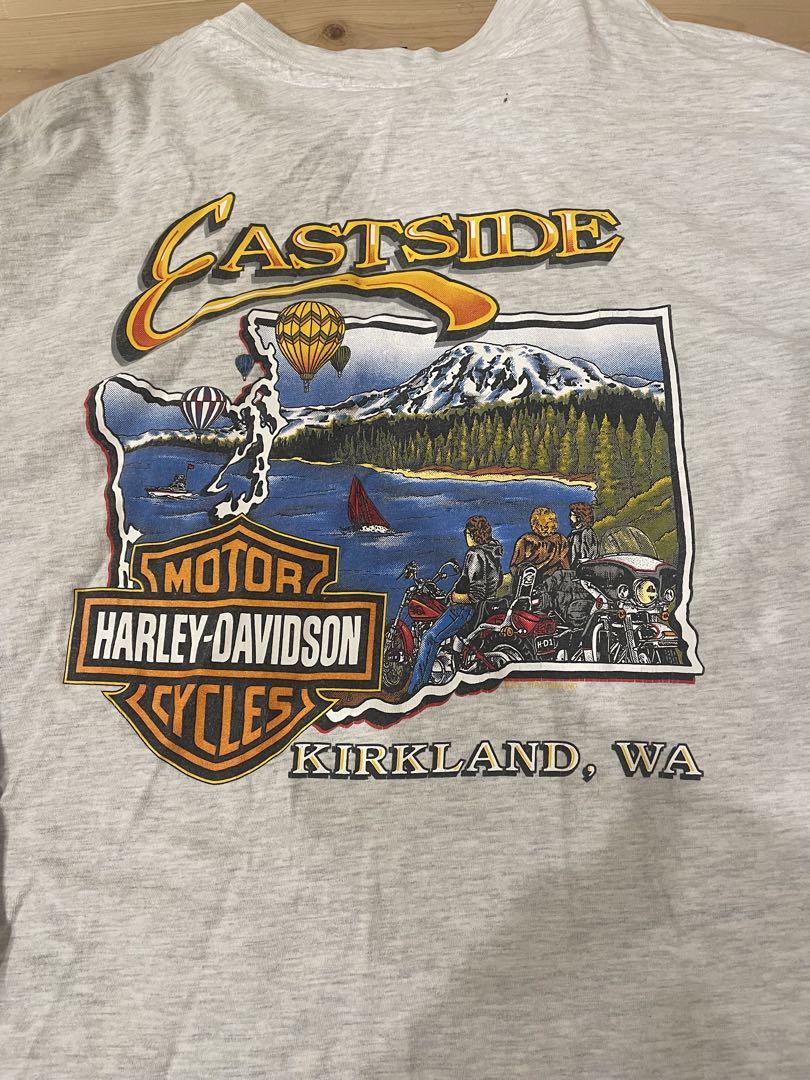 激レア XL 90s harley davidson ブルーフレイム ロンT
