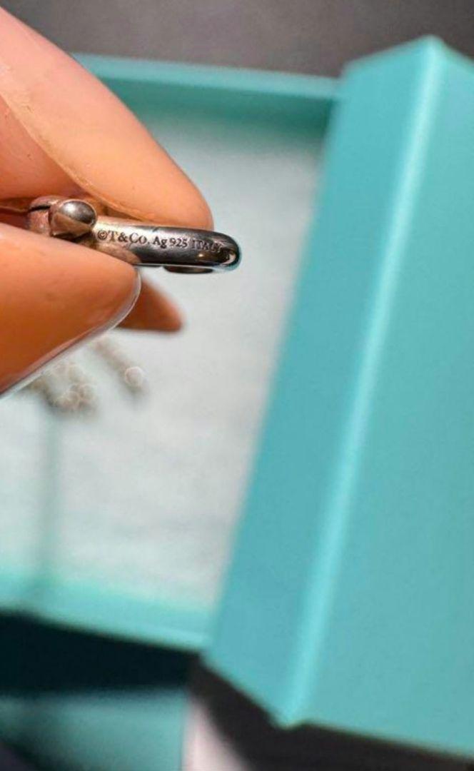 Tiffany & Co. ハードウェア マイクロリンクブレスレット